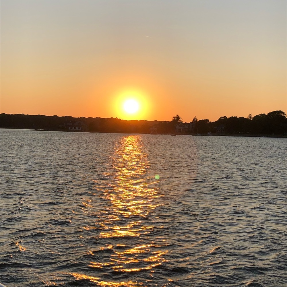 Meet your Posher, Dawn